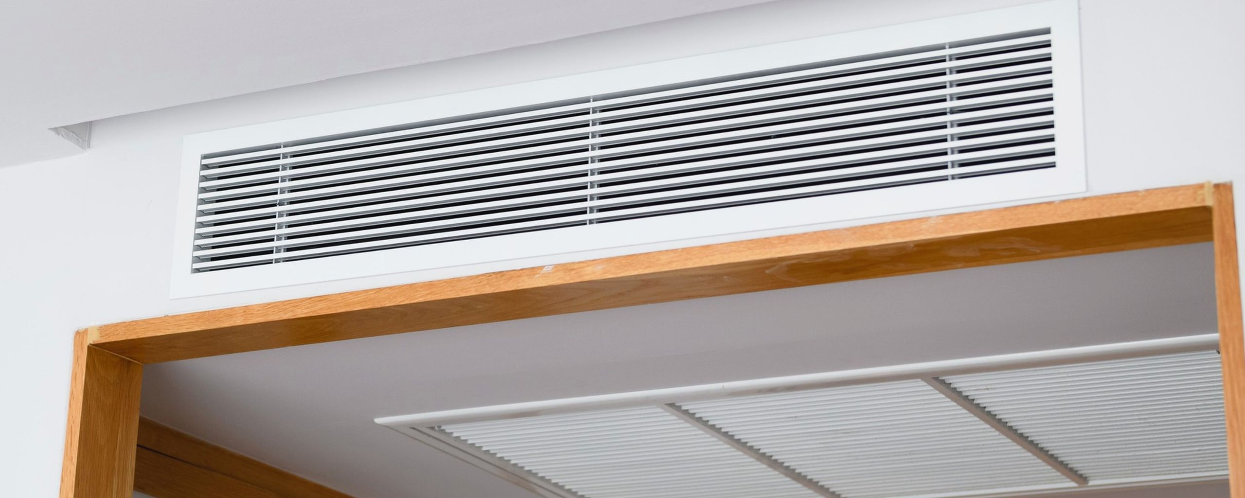 Zebra phoenix air duct cleaning ventilation and duct cleaning in Pleasanton, TX