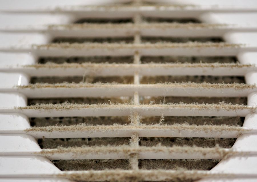 Zebra phoenix air duct cleaning air duct cleaning work in Pleasanton TX